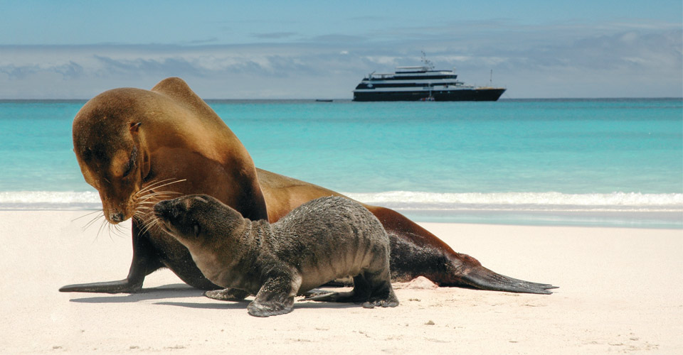 Galapagos Tours & Cruises | Natural Habitat Adventures